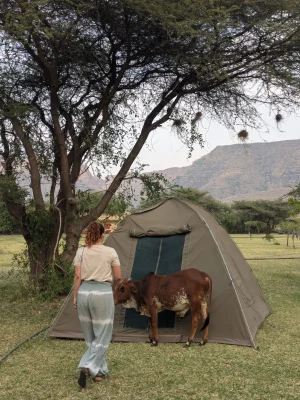 Tanzania camping