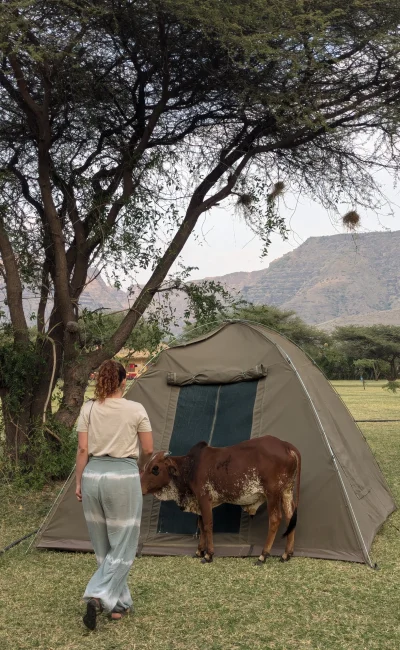 Tanzania camping