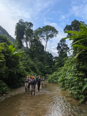 Vietnam selva