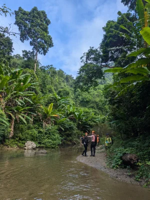 Vietnam selva