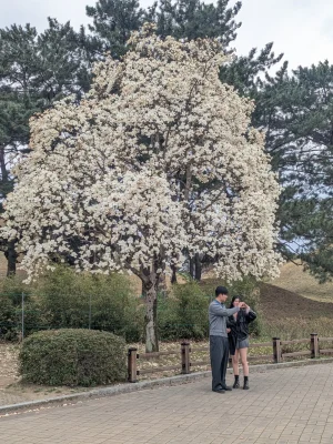 corea del sur