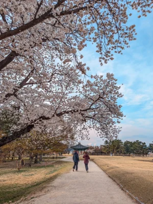 corea del sur