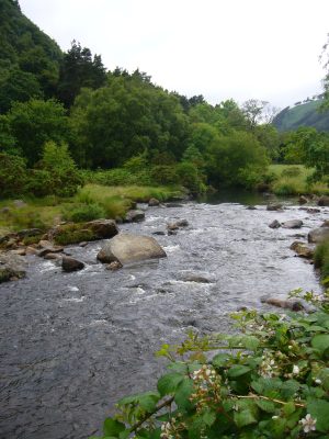 irlanda-aletas-en-la-mochila-11