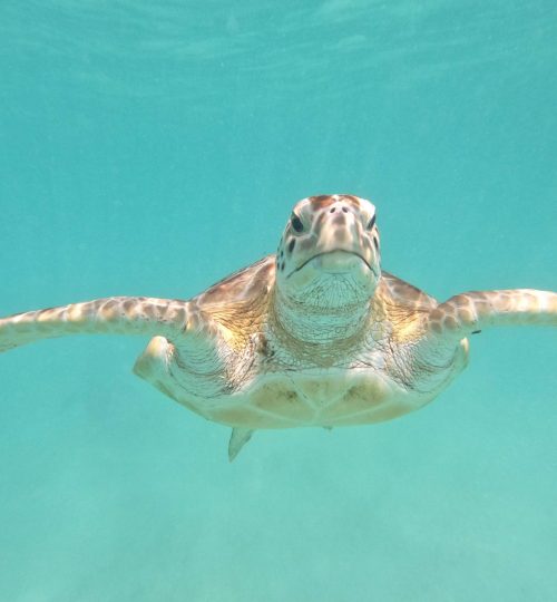 pexels-photos-by-ohcan-10943360