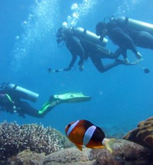 viajes-buceo-aletas-en-la-mochila